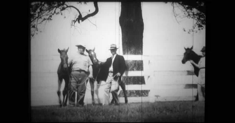 Ben Jones and other trainers walking with thoroughbreds Stock Footage