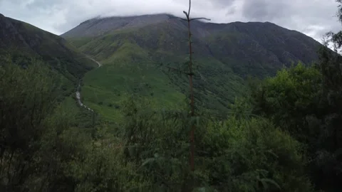Ben Nevis - Rising over the forest Stock Footage 246944320
