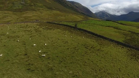 Ben Nevis, Scotland Stock Footage 89968023