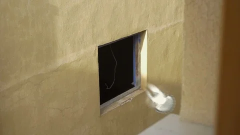 Benabarre window pigeon flying inside paloma volando ventana abandoned Stock Footage 112803012