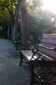 Bench 002 Stock Photos