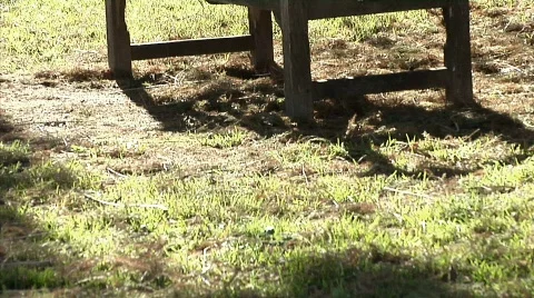 Bench 02 Stock-Footage 330665