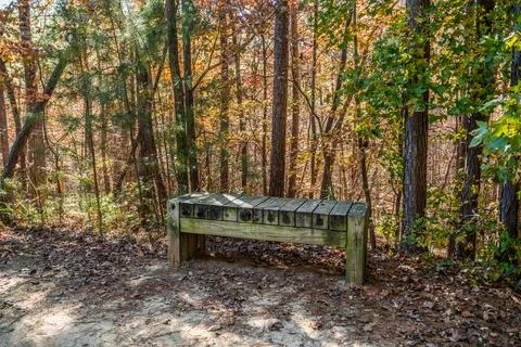 Bench along the trail Stock Photos