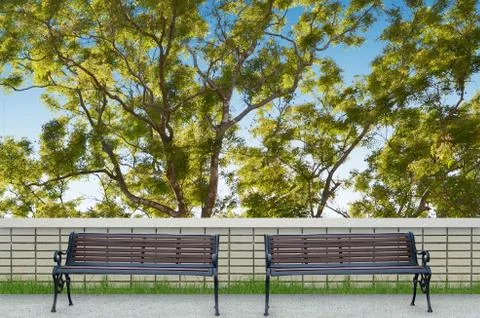 Bench and big tree background Stock Photos