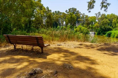 Bench and Eucalyptus trees, in the Yarkon Park Stock Photos