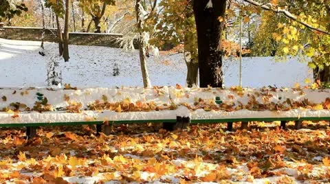 Bench and fallen leaves Stock Footage 12410153
