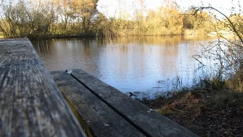 Bench And Lake Loop Stock Footage 106666412