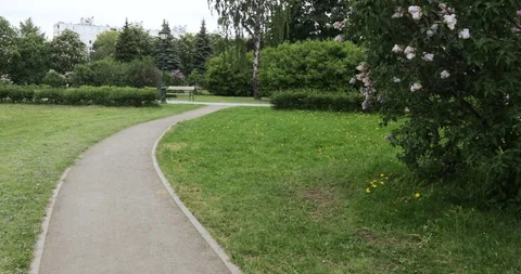Bench and lantern in park Vídeos de archivo 90481419