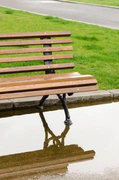 A bench and reflection in the park after the rain Stock Photos