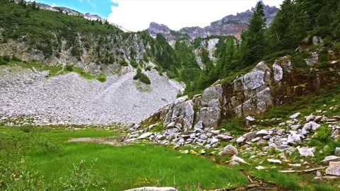 Bench and Snow Lakes Trail, Mount Rainier National Park, Washington State, USA Stock Footage 332138952