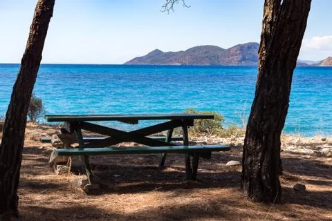 Bench and table in the shadow of a tree on the beach with sea view Stock Photos