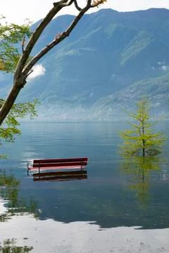 Bench and Tree on a Flooding Alpine Lake with Mountain in Switzerland. Stock-Fotos