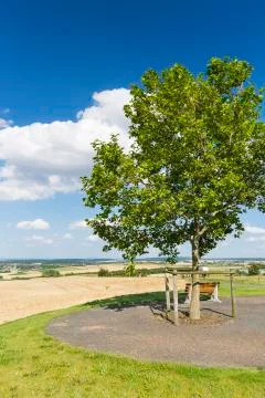 Bench And Tree, Germany Stock Photos