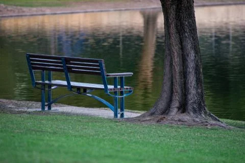 Bench and a tree next to a pond in Sir James McCusker park, Iluka Stock Photos