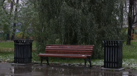 Bench and willow under the first snow with walking man Video stock 55628609