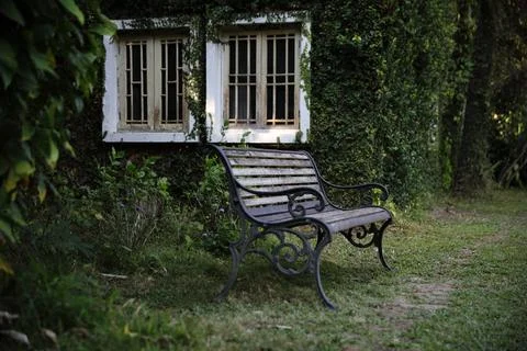 Bench and window with leaves texture at English park Stock Photos