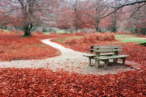 Bench on autum Stock Photos