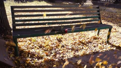 A bench in an autumn park among falling leaves on the ground and on the seat. Stock Footage 227927320