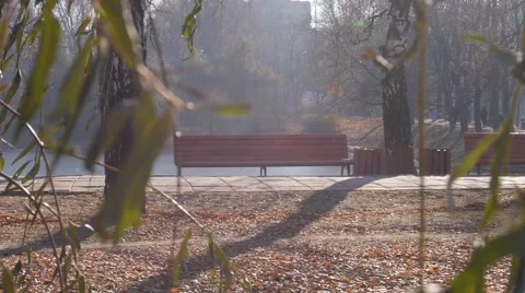 Bench in autumn park Stock Footage 45573291
