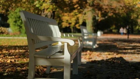 Bench in autumn park Stock Footage 96421476