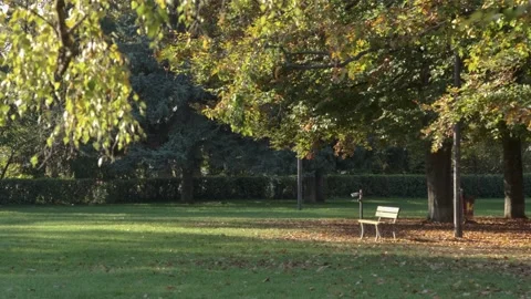 Bench in an autumn park 库存影片 142408751