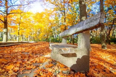 Bench in autumn Foto stock