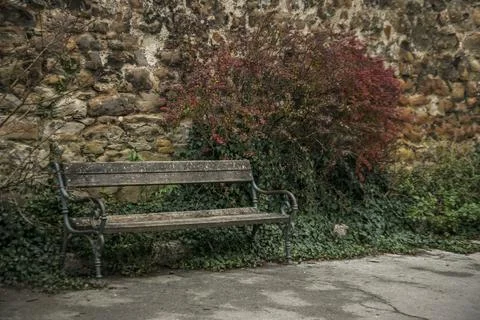A bench in the autumn Stock Photos