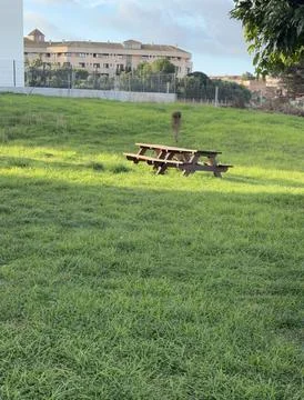 The Bench That Awaits a Conversation Stock Photos