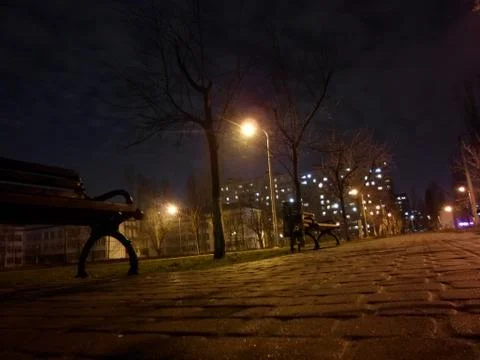 Bench. Bare tree. Night. Stock Photos