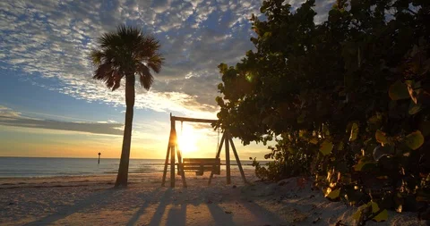 Bench on the Beach at Sunset, Palm Trees, Beautiful Peaceful Shot Видео 105827725