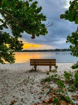 Bench on the beach at sunset Stock Photos