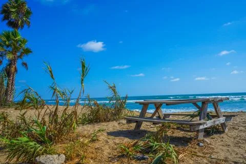 Bench on a beautiful beach during summer Stock Photos