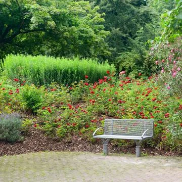 Bench in a beautiful park Stock Photos