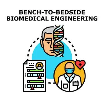 Bench to bedside biomedical engineering concept vector Stock Illustration