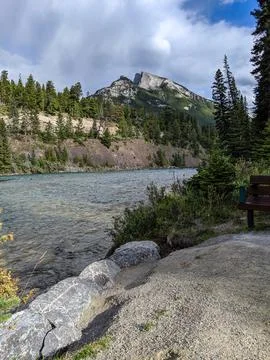 A bench beside the Bow River with trees and Mount Rundle in the background Foto stock
