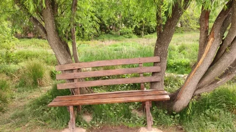 Bench between trees in a park near Cusco, Peru 스톡 동영상 288165852