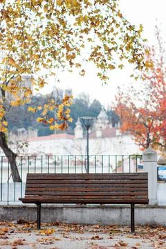 Bench between trees with some old houses and a castle in the background Stock Photos
