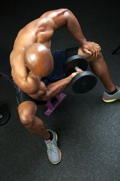 Bench Bicep Curls Stock Photos