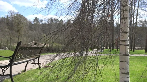 Bench, birch tree and lightings near park path in spring. 4K Stock Footage 51448171