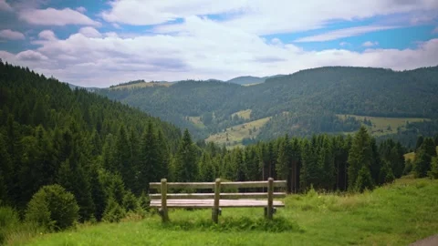Bench in Black Forest Mountain Range Germany Schwarzwald  Video stock 331459708