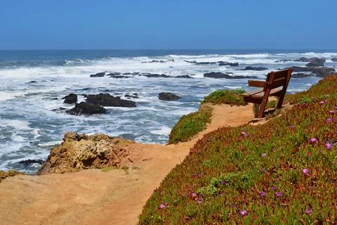 Bench on the blooming coast, view on the rough ocean, California USA Stock Photos