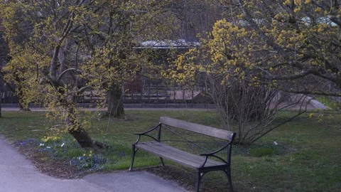Bench in Botanical Garden in Early Spring, Gothenburg, Sweden Stock-Footage 220280874