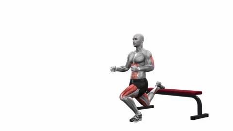 Bench Bulgarian Split Squats left fitness gym exercise workout animation muscl   動画素材 243988921