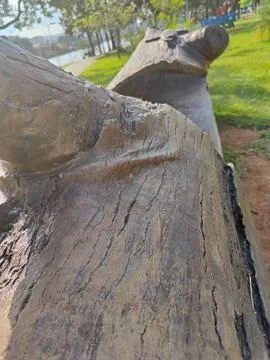 Bench carved from a tree trunk for use in the park. Stock Photos