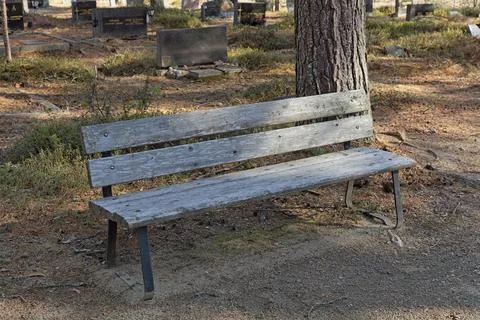 Bench in cemetery. Stock Photos