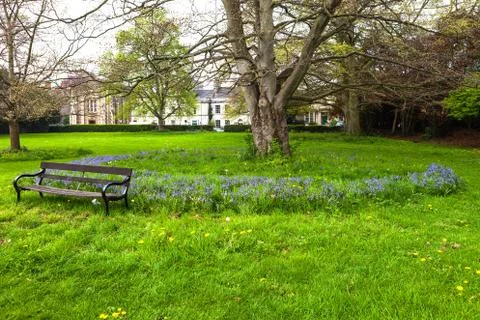 Bench chair. Stock Photos