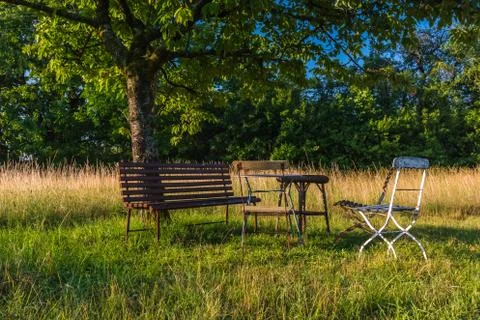 Bench chairs and a tree Stock Photos