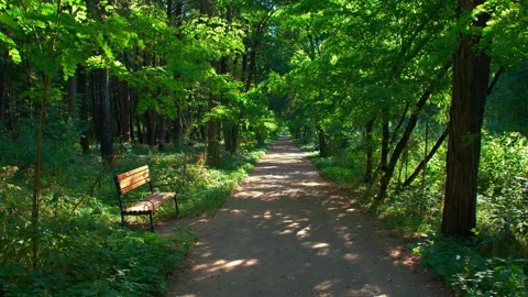 Bench at the city park in UHD Stock Footage 144169699