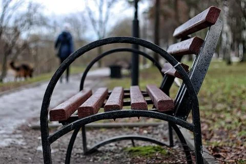 Bench in the city in spring Stock Photos