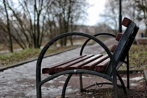 Bench in the city in spring 写真素材